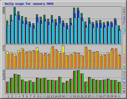 Daily usage for January 2026