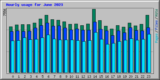 Hourly usage for June 2023