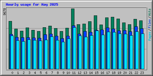 Hourly usage for May 2025