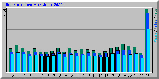 Hourly usage for June 2025