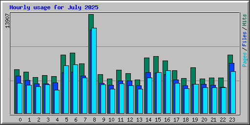 Hourly usage for July 2025