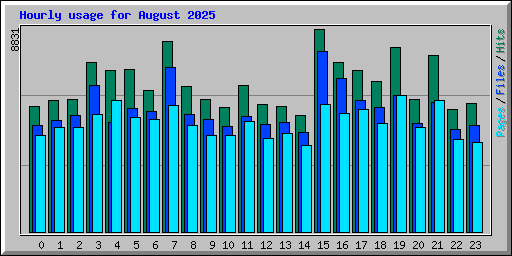 Hourly usage for August 2025