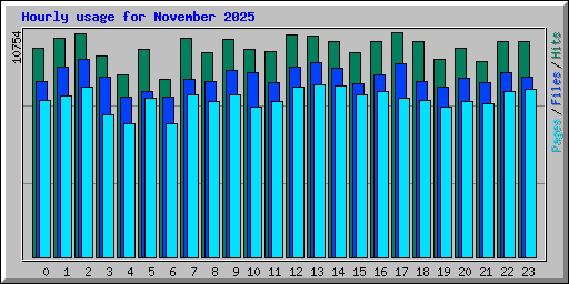 Hourly usage for November 2025