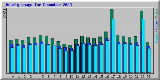 Hourly usage for December 2025