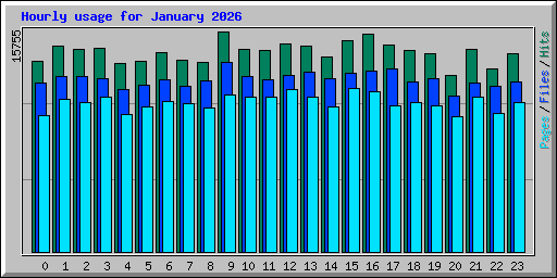 Hourly usage for January 2026