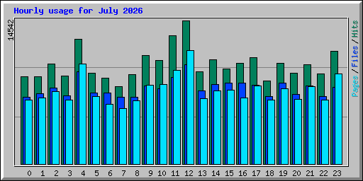 Hourly usage for July 2026