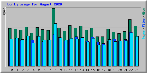 Hourly usage for August 2026